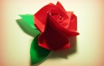Origami_Rose_by_Rikku_Cin