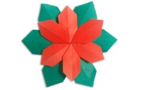 Оригами схема рождественского цветка