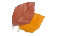 Оригами схема осеннего листка