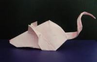 Схема оригами бумажной мыши Рикки