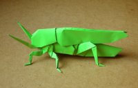 Оригами схема саранчи