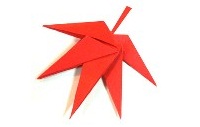 Оригами схема кленового листа