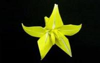 Оригами схема красивого цветка