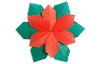 Оригами схема пуансеттии